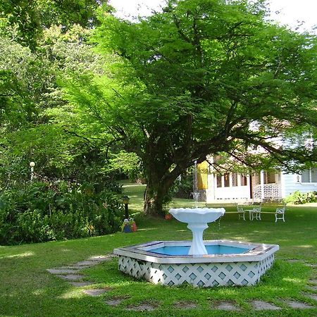 Los Llanitos Park Eden Bed & Breakfast المظهر الخارجي الصورة
