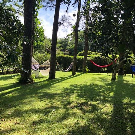 Los Llanitos Park Eden Bed & Breakfast المظهر الخارجي الصورة
