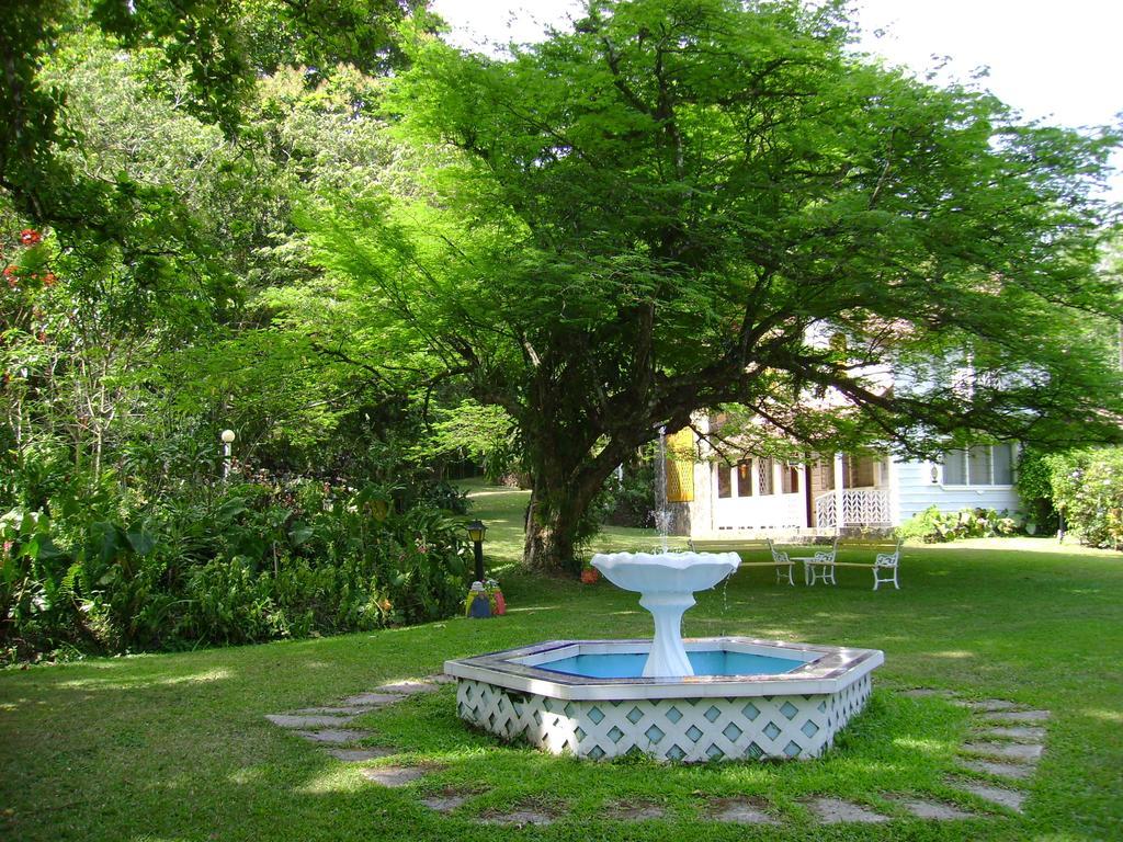 Los Llanitos Park Eden Bed & Breakfast المظهر الخارجي الصورة