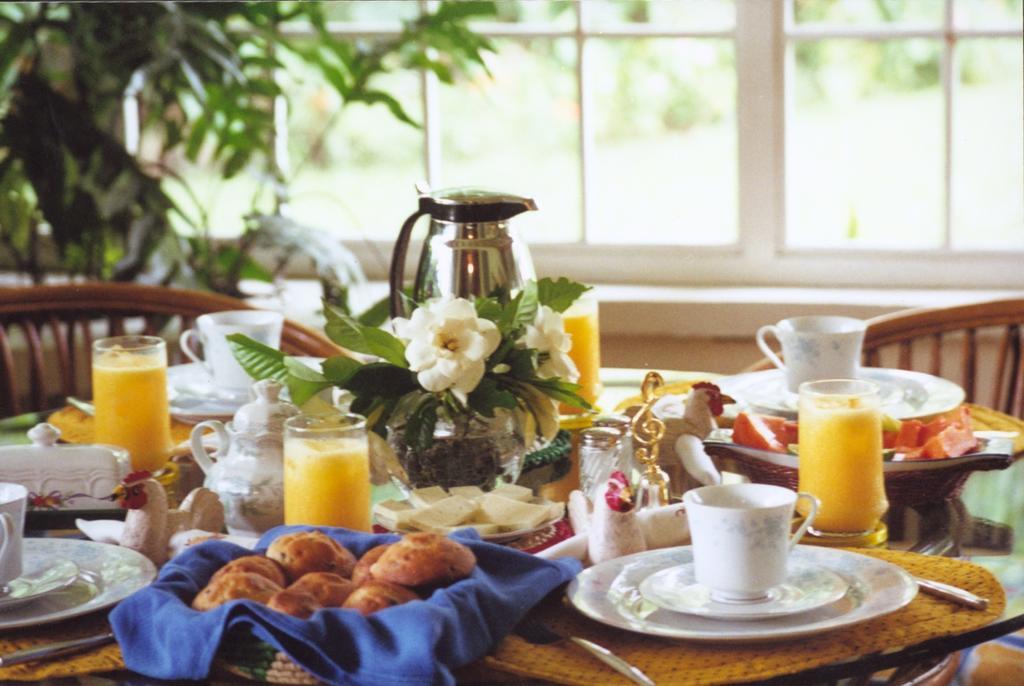 Los Llanitos Park Eden Bed & Breakfast المظهر الخارجي الصورة